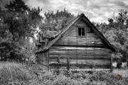 Three-Gabled-Shed