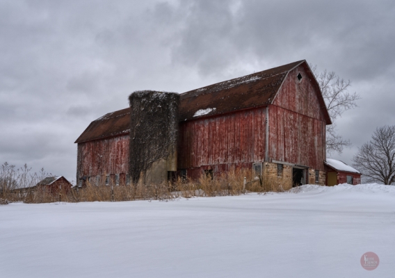 Red barn with a snowy lawn but clear driveway